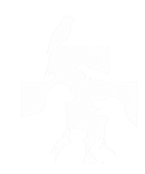 exocare vet logo