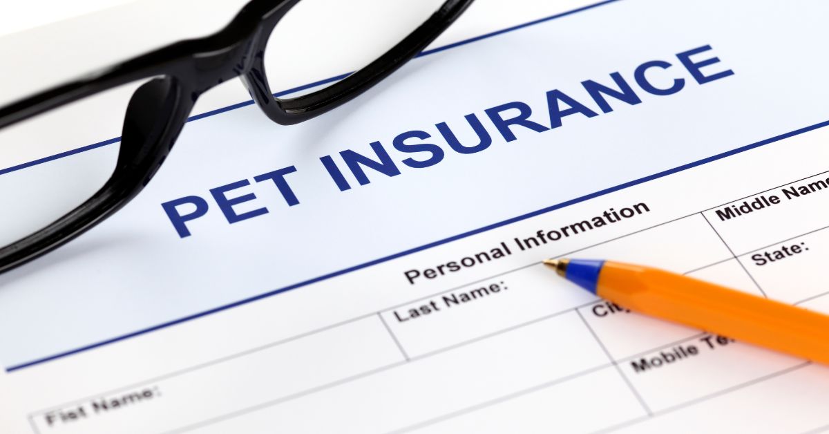 Pet Insurance & Vet Fees in Malaysia: What Owner Should Know