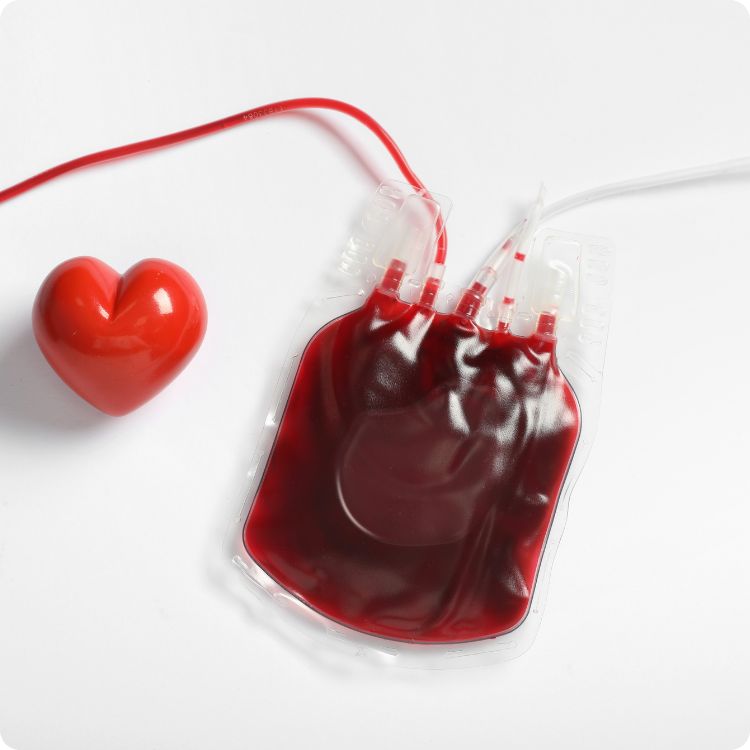 pet blood bank