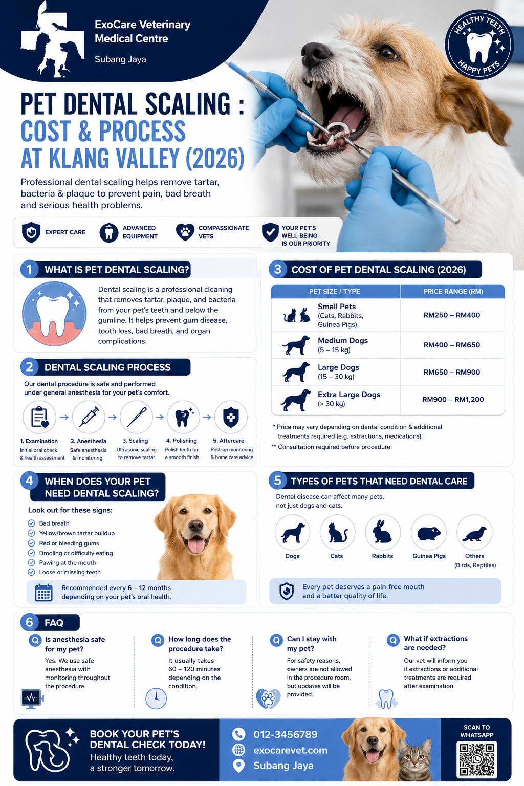 pet dental