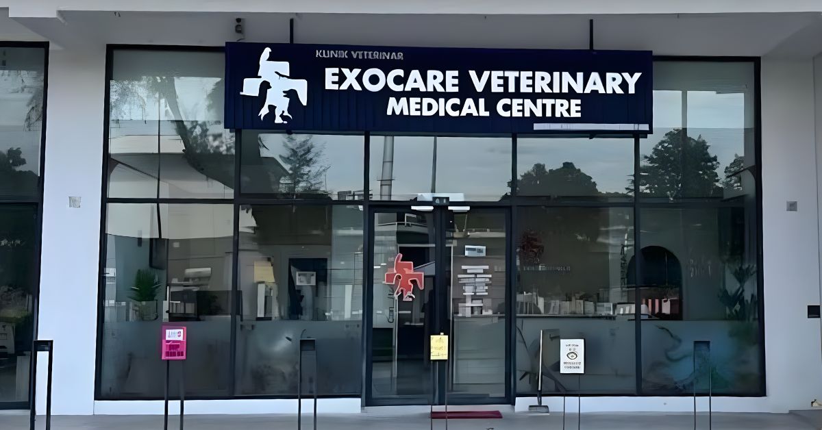 Emergency Vet in Subang Jaya: What to Do During & After Hours