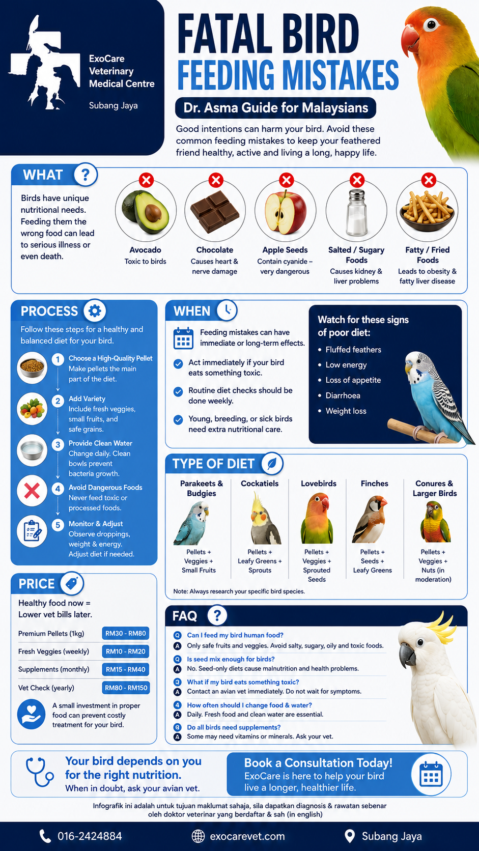 bird feeding