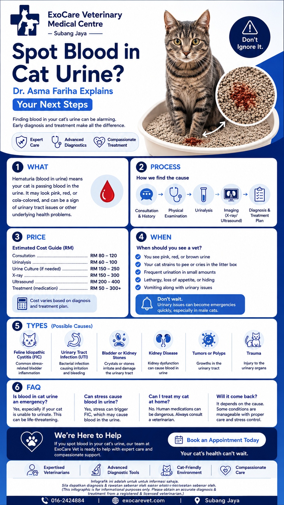 blood in cat urine