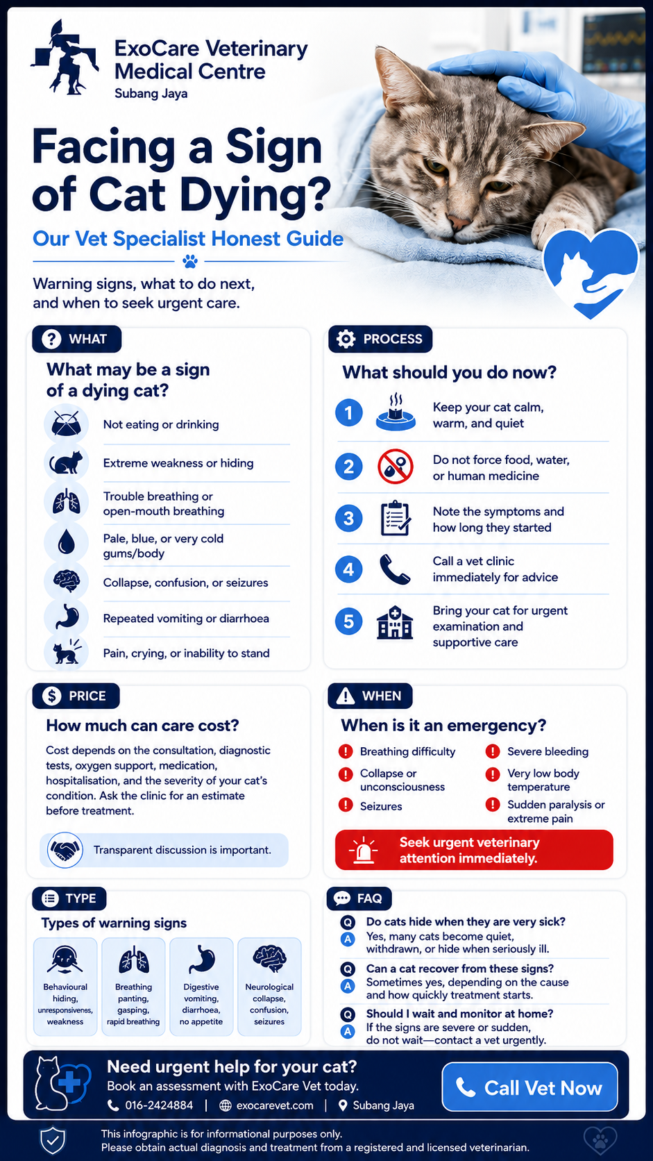 sign of cat dying