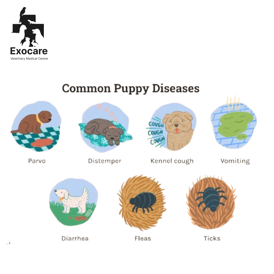 dog puppy vaccination in subang jaya