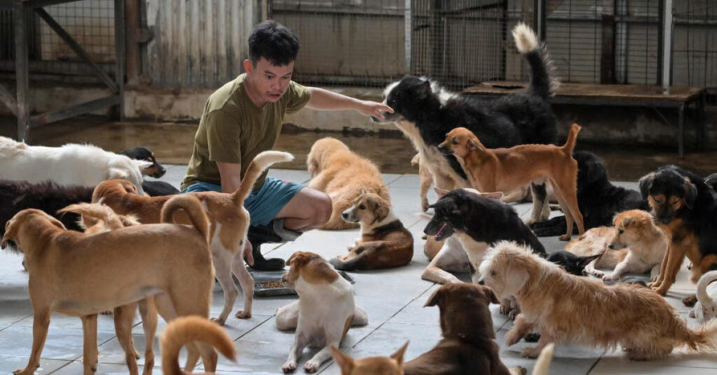 neuter dog in malaysia