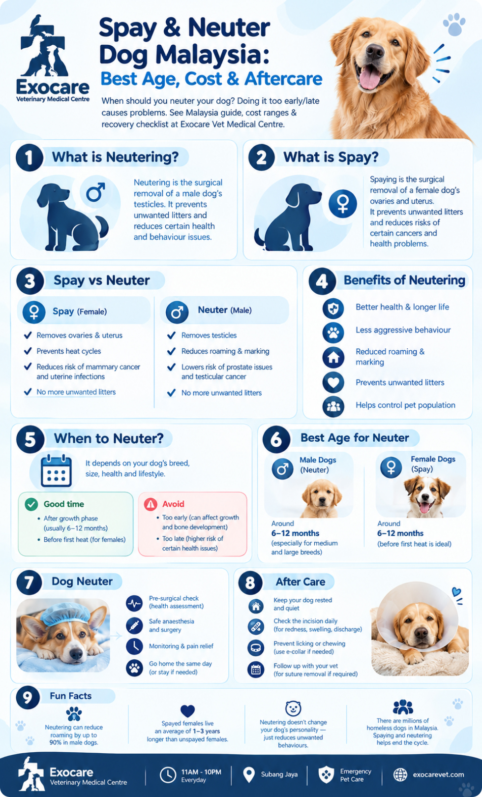 neuter dog in malaysia